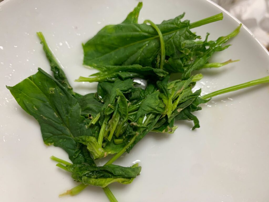 Reborn vegetable of spinach