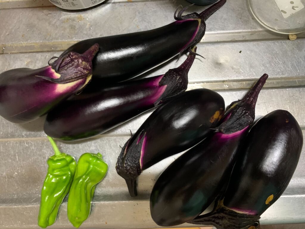 Harvested vegetables