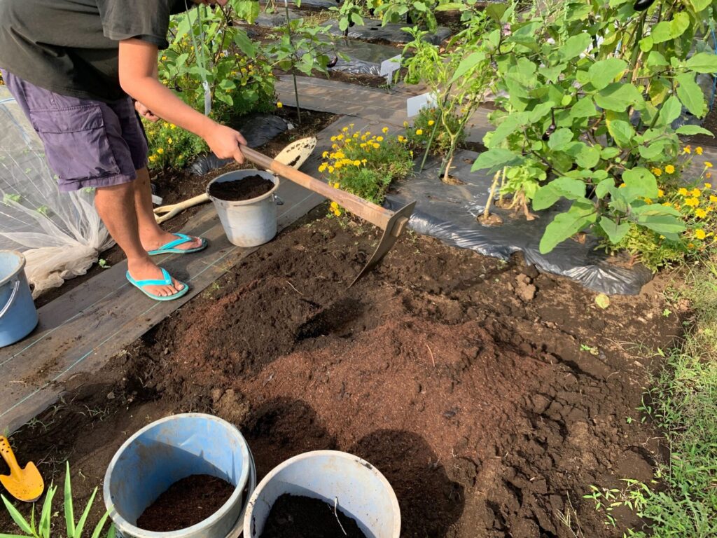 refreshing the soil