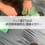 シェア畑２７日目～秋冬野菜講習会/苗植え付け～