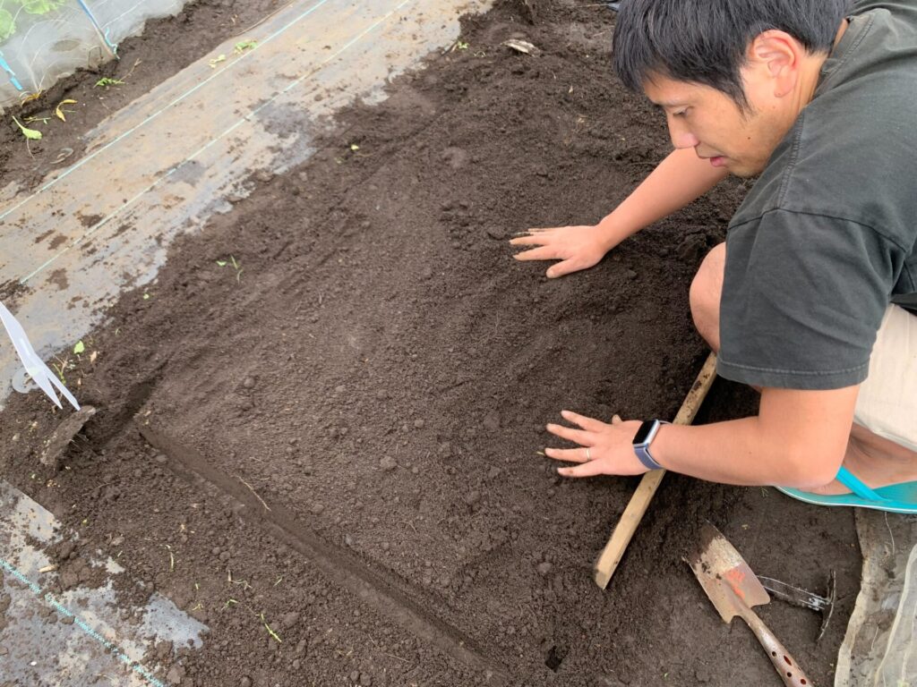 手で慣らしてウネを整える