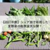 【2022年度】シェア畑で収穫した夏野菜の総数量大公開！