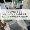 シェア畑３６日目～スナップエンドウ防風対策/茎ブロッコリー防虫防鳥対策～