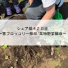 シェア畑４２日目～茎ブロッコリー撤収/葉物野菜撤収～