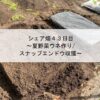 シェア畑４３日目～夏野菜ウネ作り/スナップエンドウ収獲～